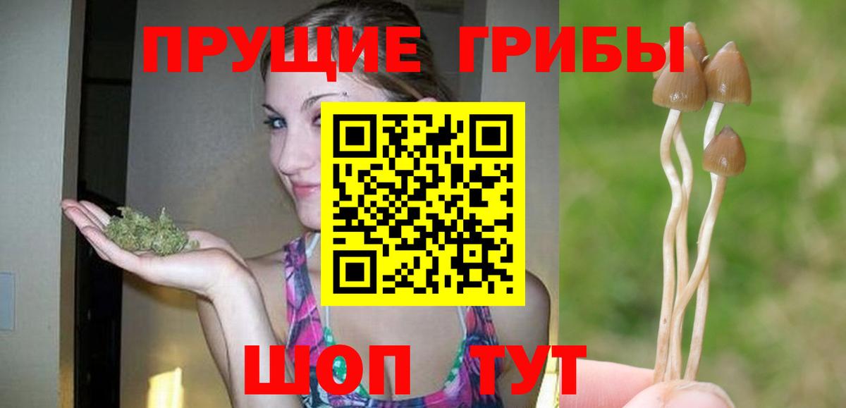 Галлюциногенные грибы Psilocybe Камышлов